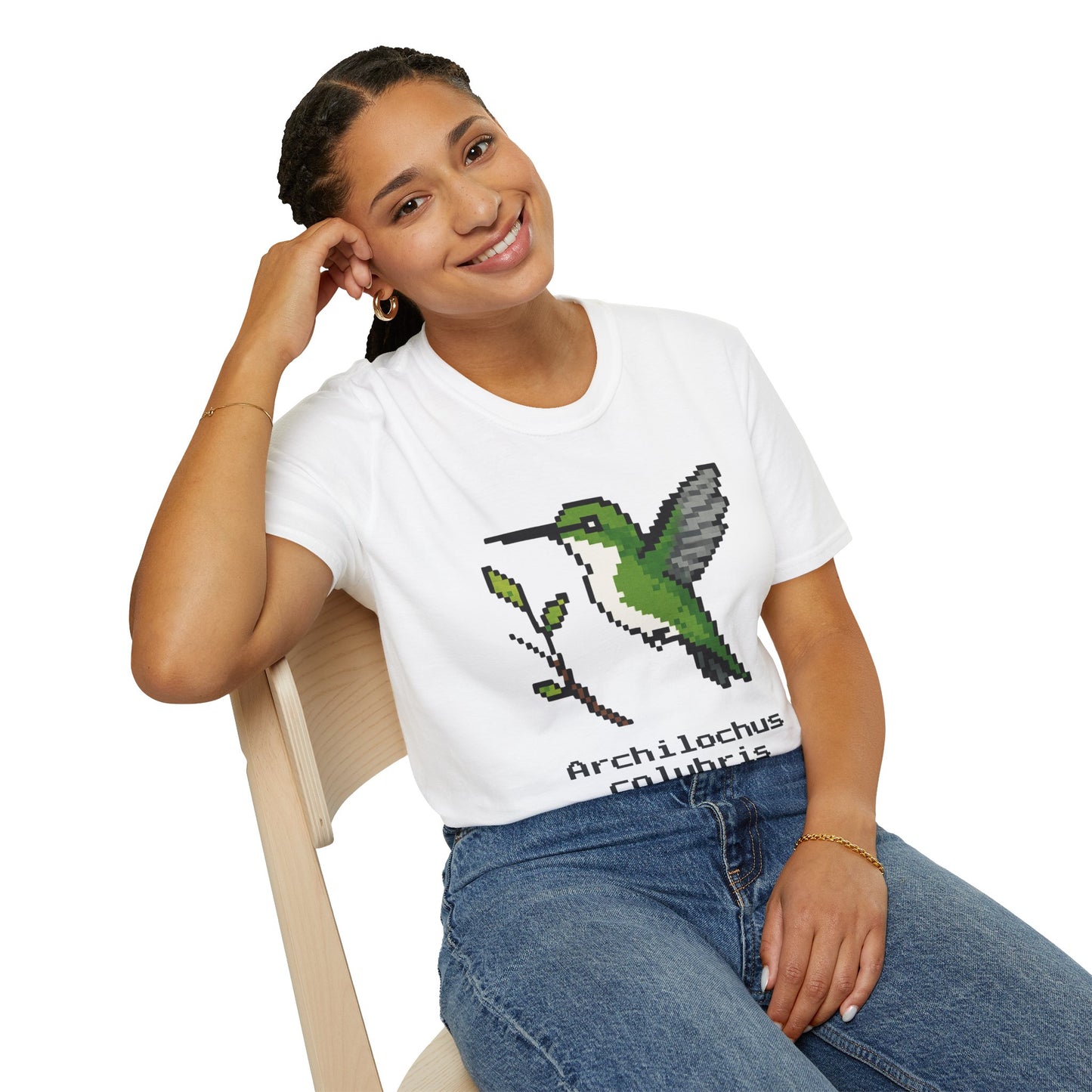 Ruby-throated Hummingbird Pixel Art (Female)