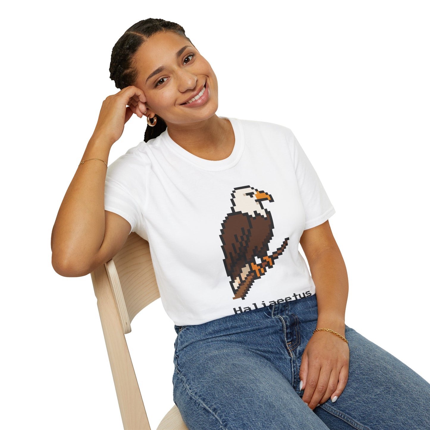 Bald Eagle Pixel Art