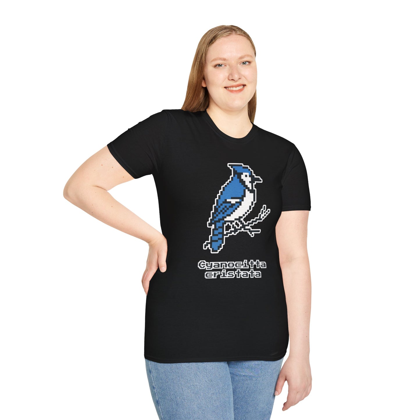 Blue Jay Pixel Art