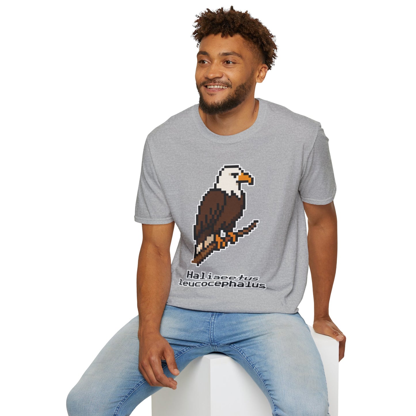 Bald Eagle Pixel Art