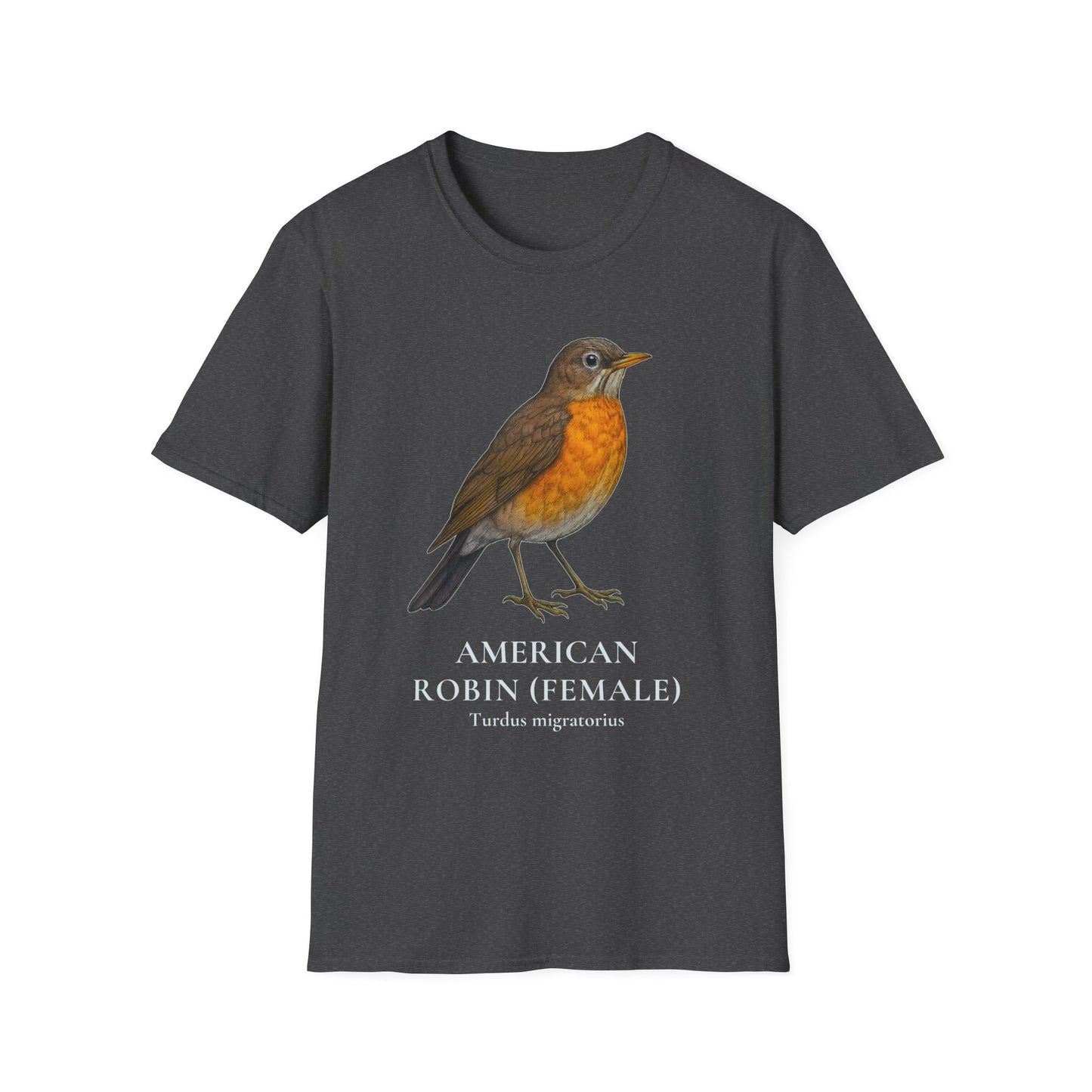 American Robin (Female) Field Guide Tee