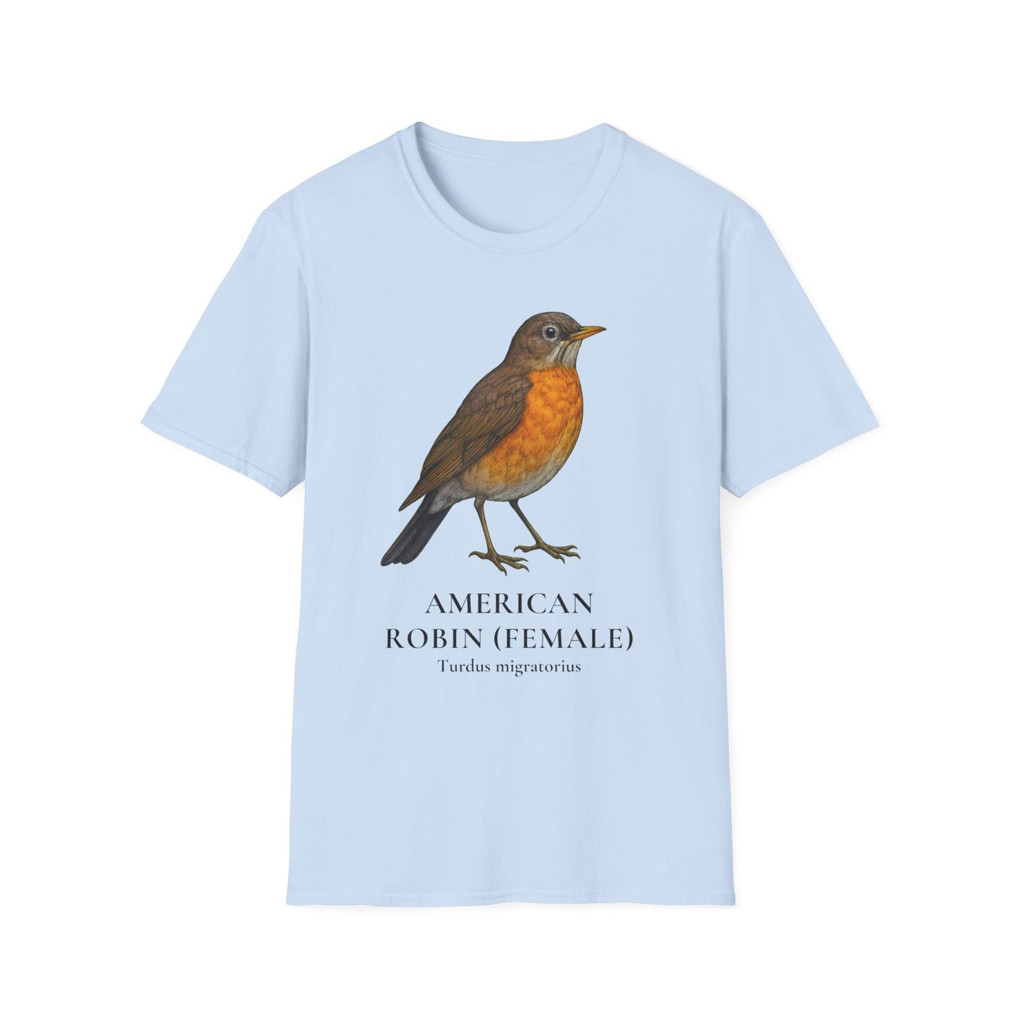 American Robin (Female) Field Guide Tee