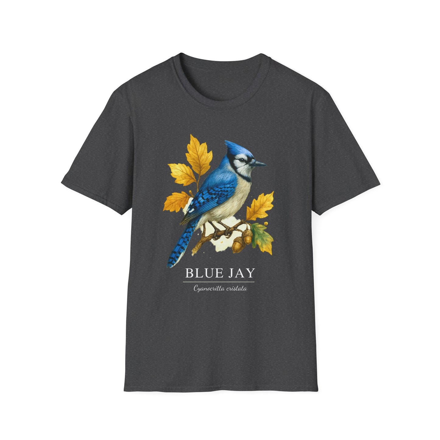 Blue Jay Field Guide Watercolor T-Shirt