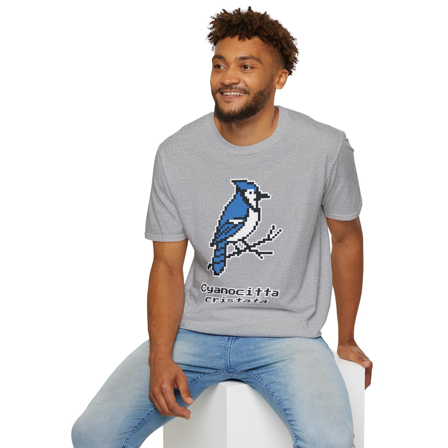 Blue Jay Pixel Art