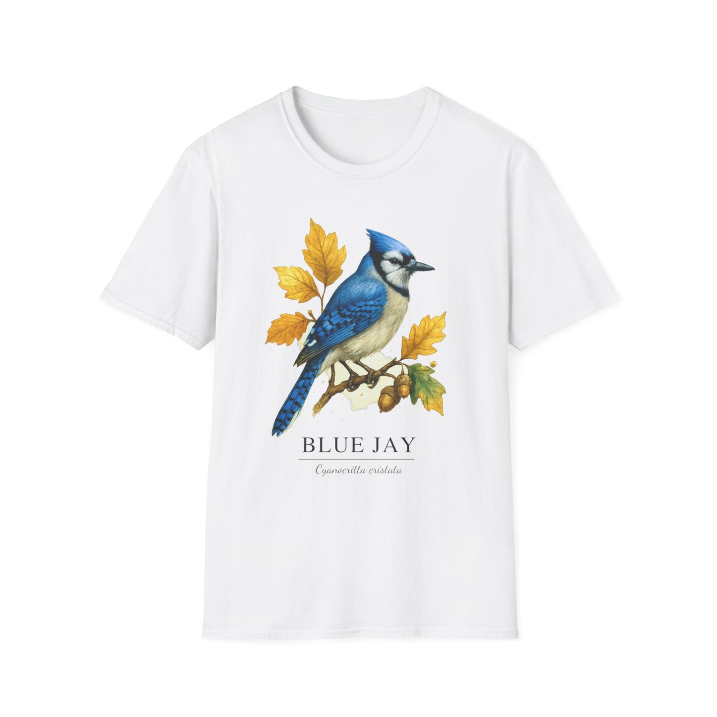 Blue Jay Field Guide Watercolor T-Shirt