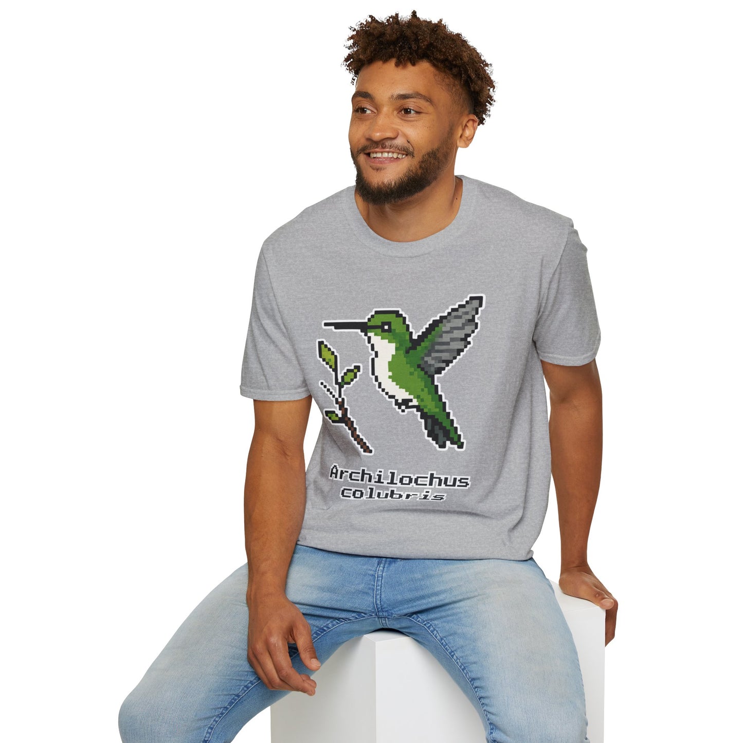 Ruby-throated Hummingbird Pixel Art (Female)