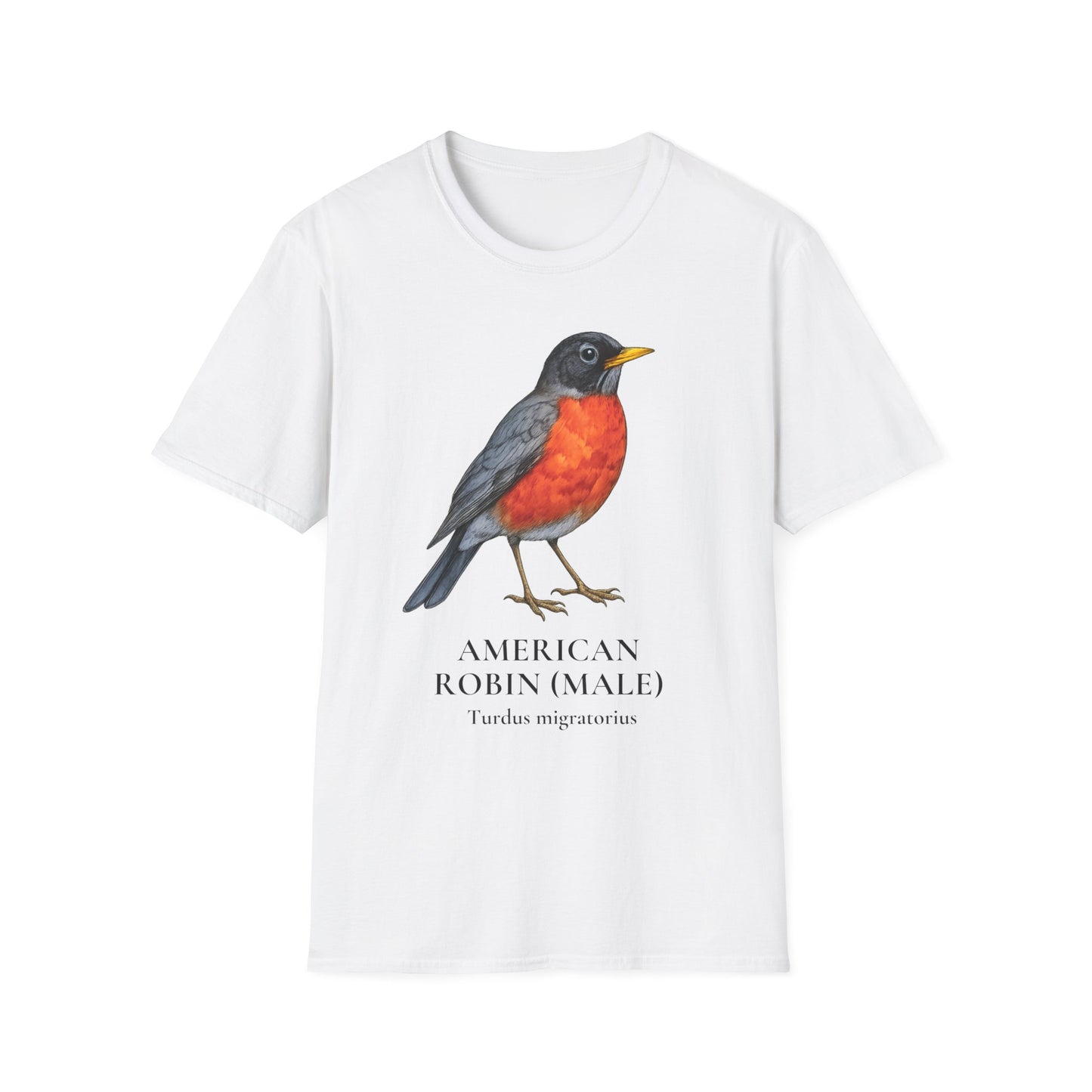 American Robin (Male) Field Guide Tee