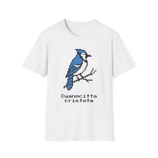 Blue Jay Pixel Art