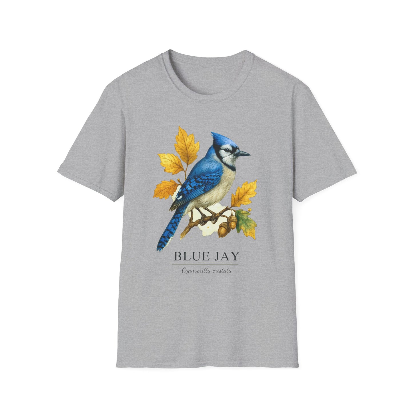 Blue Jay Field Guide Watercolor T-Shirt