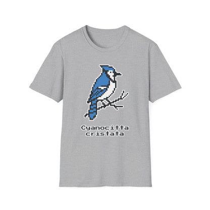 Blue Jay Pixel Art