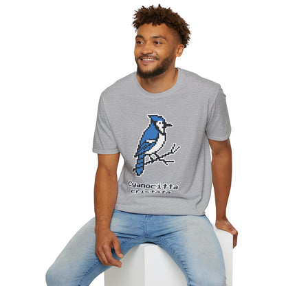 Blue Jay Pixel Art